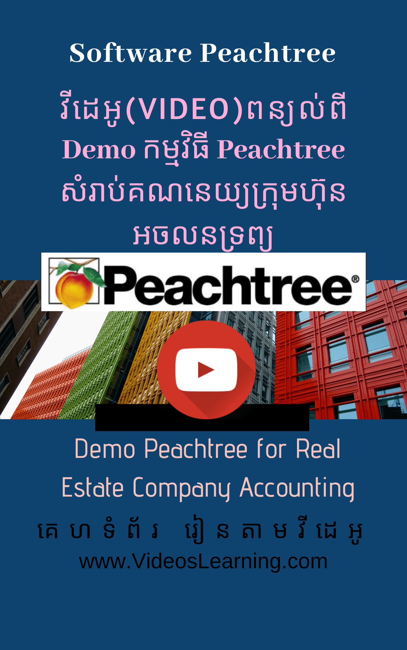 peachtree accounting demo