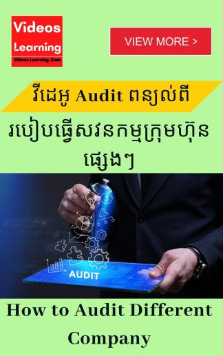How to Audit Different Company