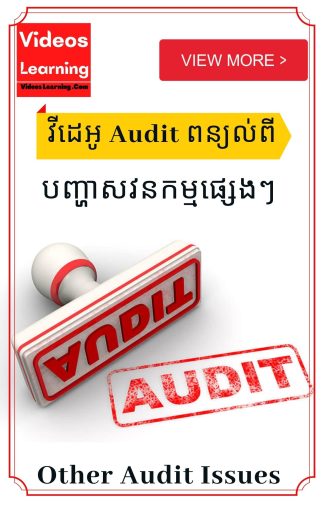 Other Audit Issues